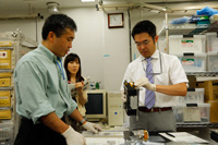Wakata working on experiment related training (Credit: JAXA)