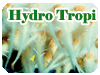 Hydro Tropi