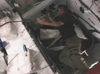 画像：野口宇宙飛行士、レオナルドのハッチを開放ページへリンク