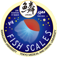 Fish Scalesパッチロゴ