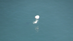 写真：着水したカプセル