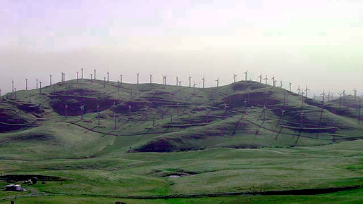 写真5 丘の上に林立する風車が延々と続く風力発電所