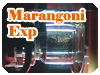 Marangoni Exp