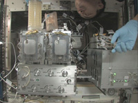 AQHの飼育水槽にメダカを移す作業を行う星出宇宙飛行士（出典：JAXA/NASA）
