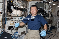 Aniso Tubule実験の作業を行う若田宇宙飛行士