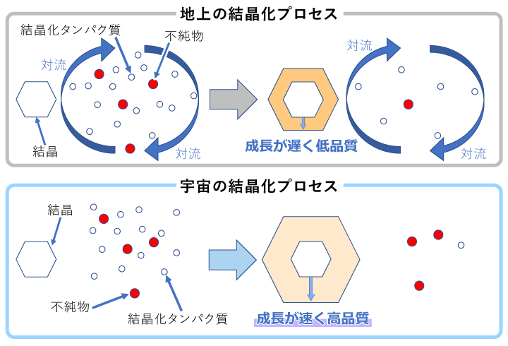 タンパク質結晶の完全性を左右する不純物の結晶への分配係数と結晶成長機構との関係 Advanced Nano Step きぼう での実験 宇宙ステーション きぼう広報 情報センター Jaxa