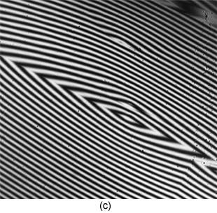 写真：反射型干渉計で観察した結晶表面