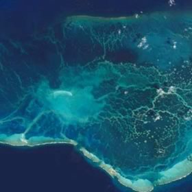 ハワイ島（アメリカ）北西部の珊瑚礁