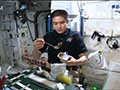 
大西宇宙飛行士ISS長期滞在活動報告（Vol.20）　宇宙日本食を紹介

