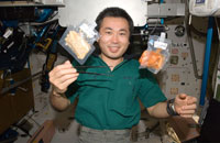 ISS第18次/19次/20次長期滞在クルーの若田宇宙飛行士