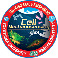 Cell Mechanosensingパッチロゴ