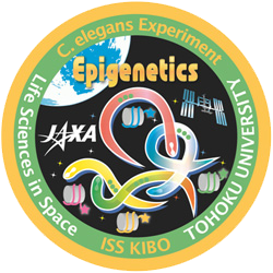 Epigeneticsパッチロゴ