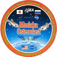 MEDAKA OSTEOCLASTパッチロゴ
