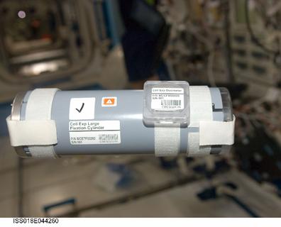 「きぼう」船内で撮影した細胞固定用シリンダーに添付したBio Dosimeter