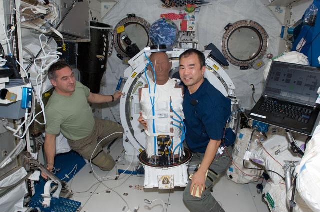 線量計を組み込んだファントムと野口宇宙飛行士（右）（提供：NASA）