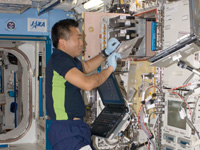 「きぼう」船内実験室で作業する若田宇宙飛行士