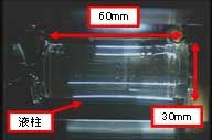 長さ60mmの液柱の様子（横方向から撮影）（ｸA輅AXA/諏訪東京理科大学）