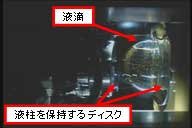 液滴内のマランゴニ対流実験の様子（横方向から撮影）（ｸA輅AXA/諏訪東京理科大学）