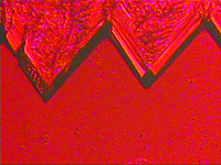 顕微鏡で取得されたFACET実験の結晶の画像（ｸA輅AXA）